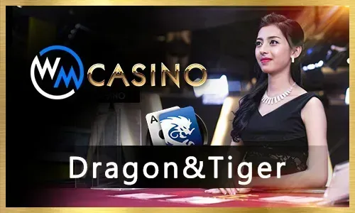 A diverse selection of online casino games at bet100